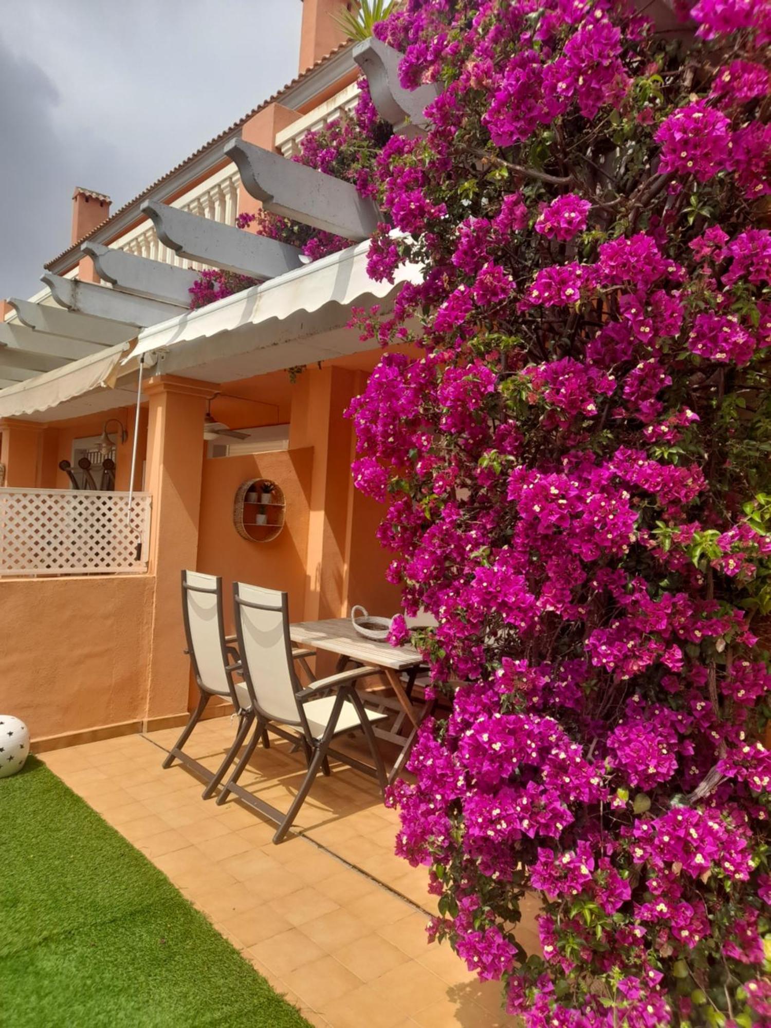 Apartamento Premium En Planta Baja Junto Al Parador Y Playa Del Arenal Jávea Exteriör bild